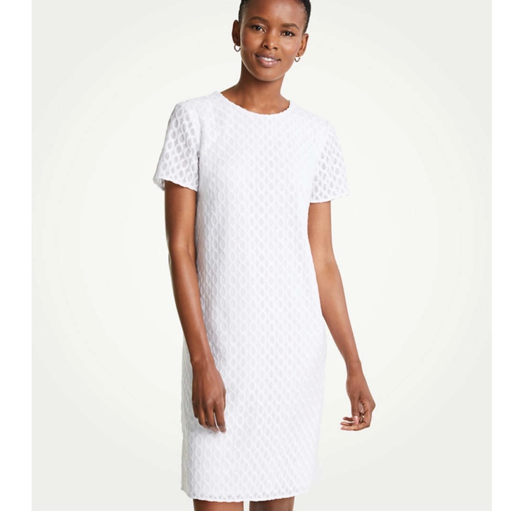 Ann Taylor Wavy Embroidery Shift Dress